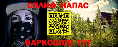 шишки Бузулук