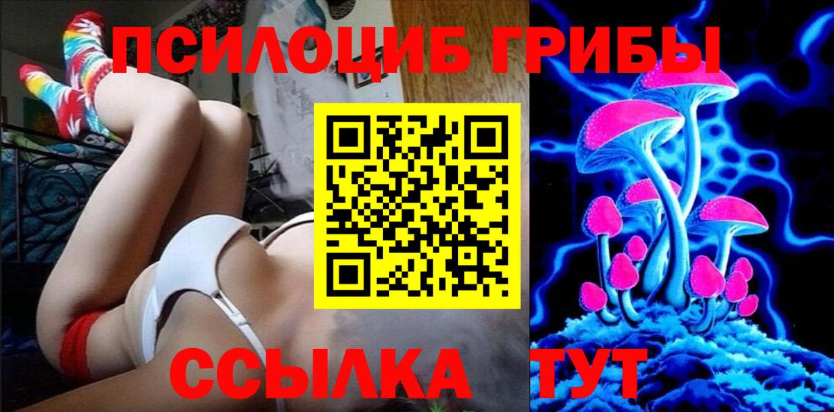 Первоуральск  купить  сайты  Вход с VPN  Галлюциногенные грибы Cubensis  Псилоцибиновые грибы Cubensis 